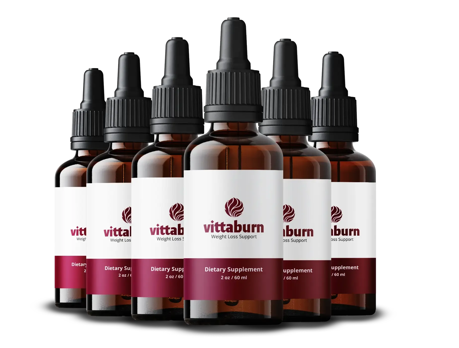 VittaBurn six-bottle package