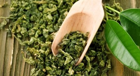 Green Tea Extract in the VittaBurn formula