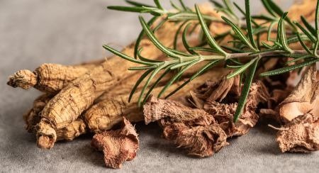 Siberian Ginseng in the VittaBurn formula