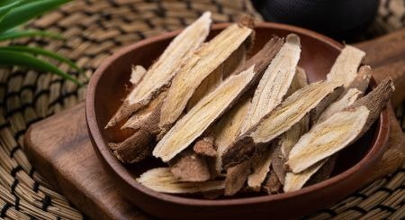 Astragalus Root Extract in the VittaBurn formula